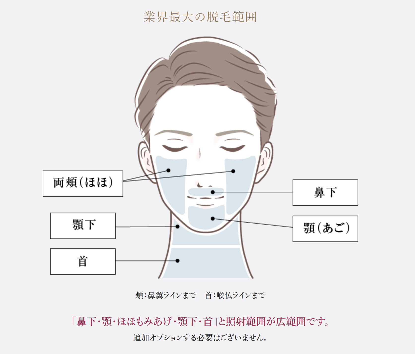 業界最大の脱毛範囲